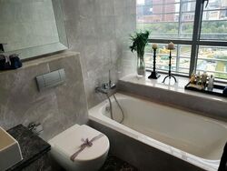Paterson Suites (D9), Condominium #565720311